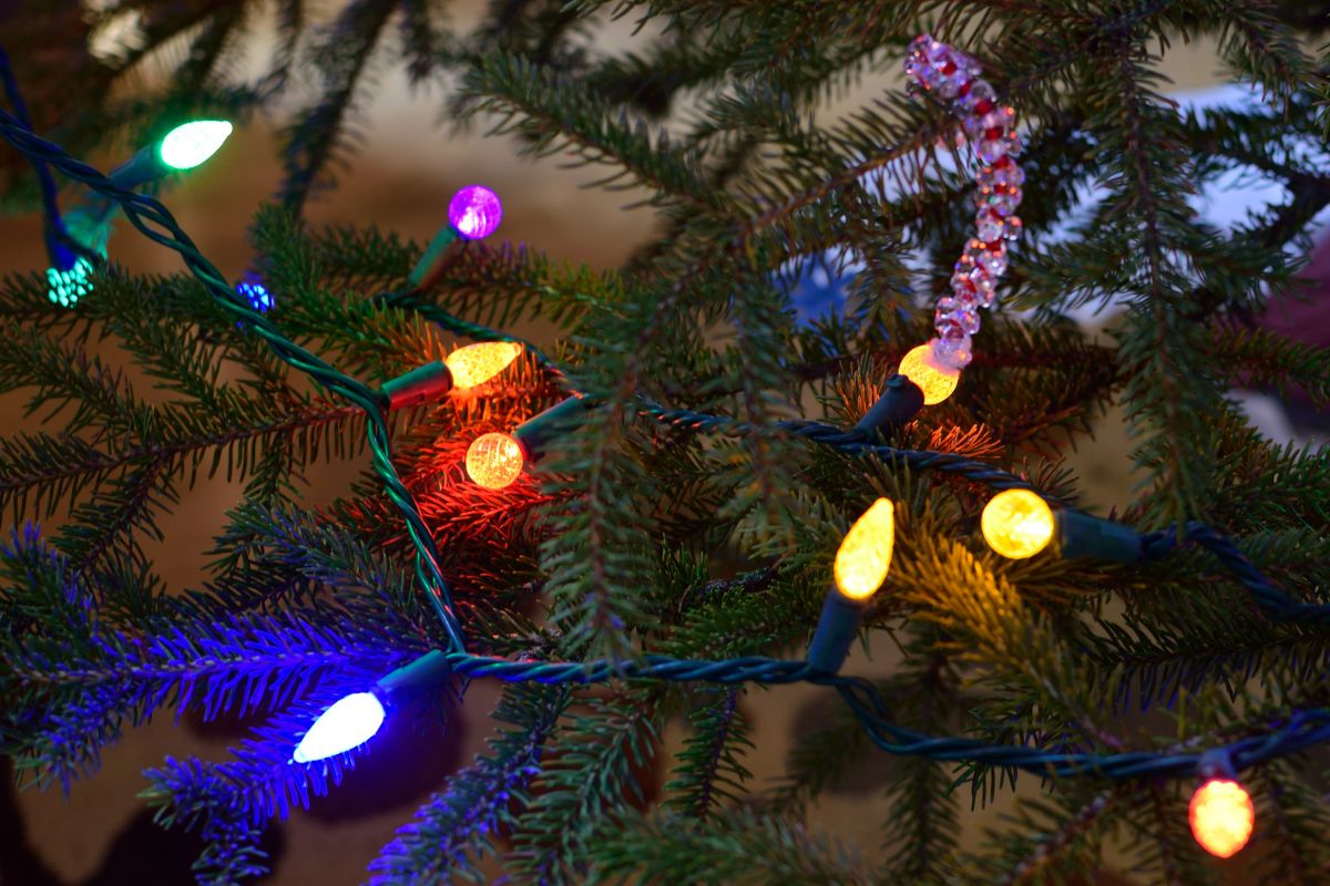 16 Different Types Of Christmas Lights and What They Are Best Used for